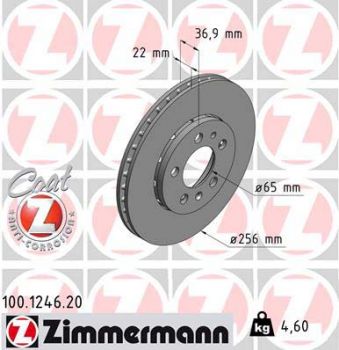 Zimmermann 100.1246.20 Bremsscheibe Vorne 256x22mm 5 x 100